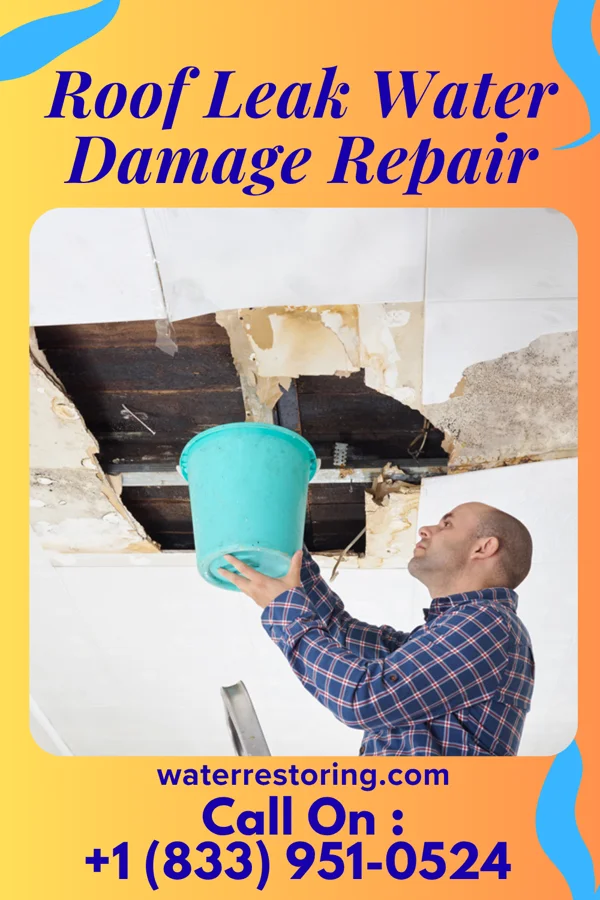 Roof Leak Water Damage Repair in Normandy, TN