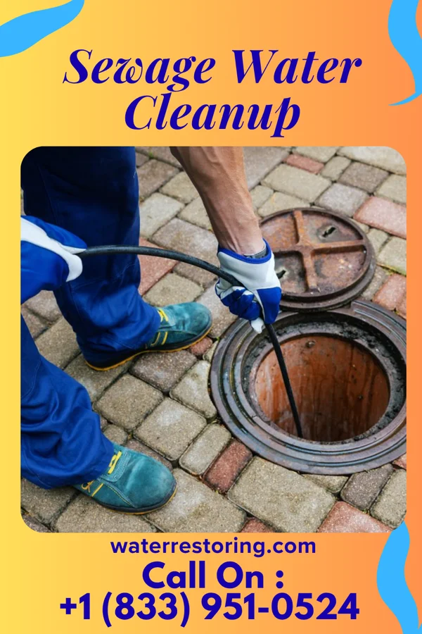 Sewage Water Cleanup in Normandy, TN